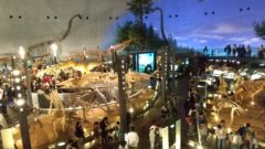 GWに福井の恐竜博物館に行きました。