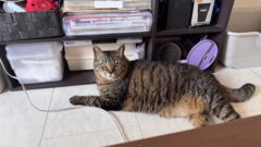 仮免試験！行きました！